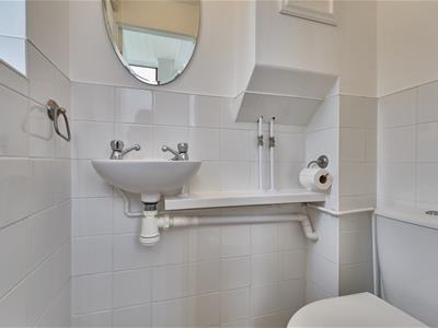 Picture 13